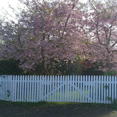 Sweet Guesthouse Waitara Bagian luar foto